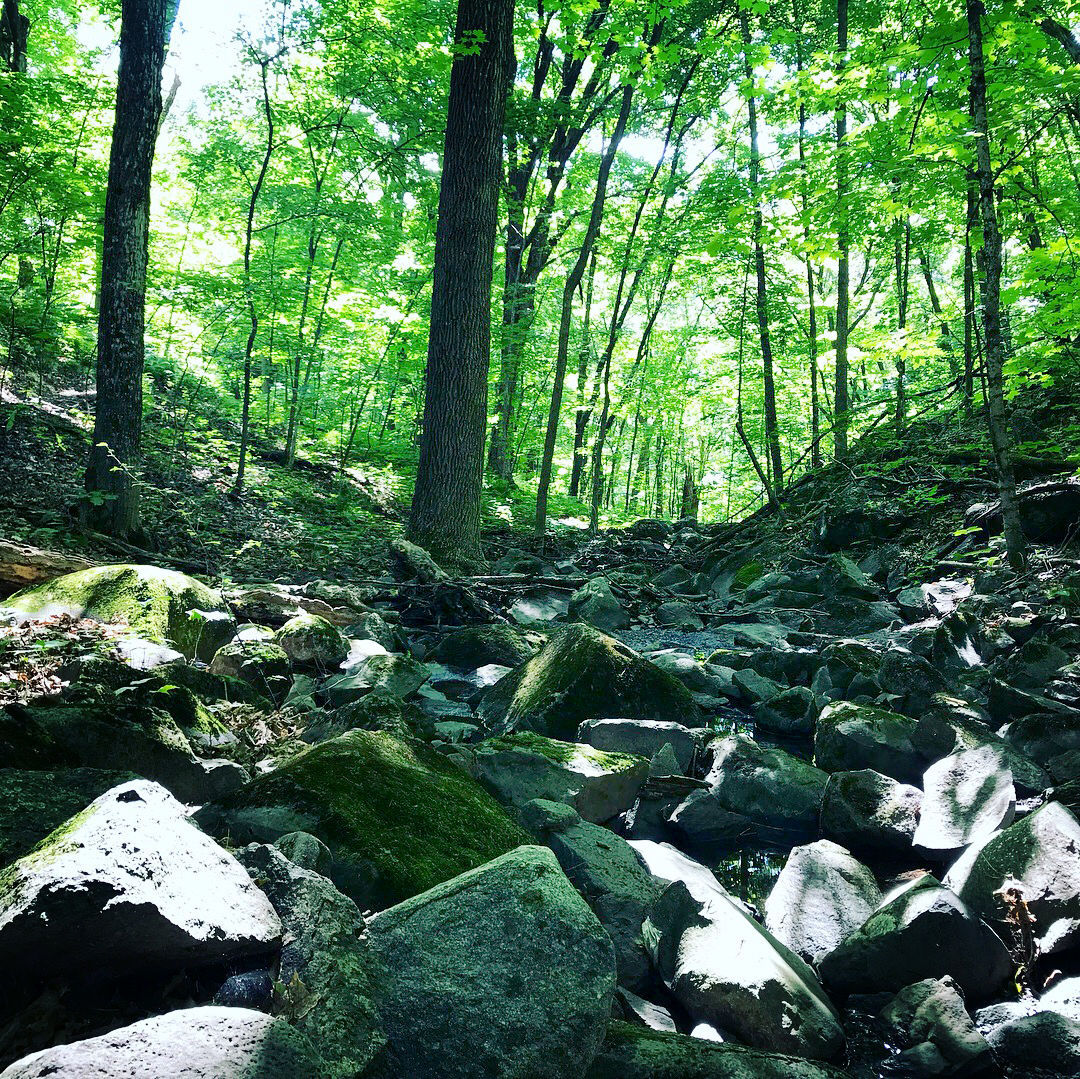 20180821-kn-lfs-health-hiking-294
